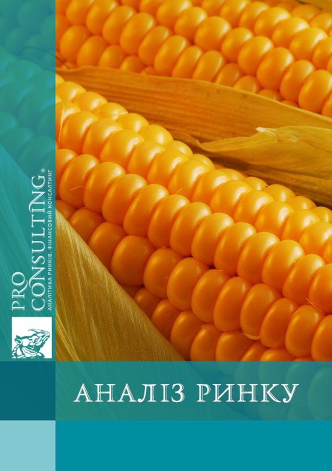 Аналіз ринку продуктів переробки кукурудзи в ОАЕ. 2022 рік